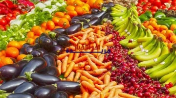 سعّر 9 أصناف.. قفزة جديدة تطال أسعار الخضراوات بالأسواق قبل شهر رمضان